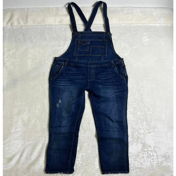 Free People | Pants & Jumpsuits | Free People Denim Bib Overalls  display picture 1